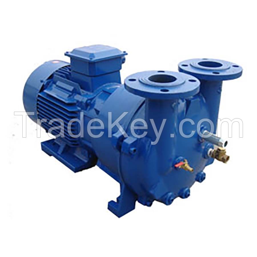 2BV 5131 Liquid Ring Vacuum Pumps