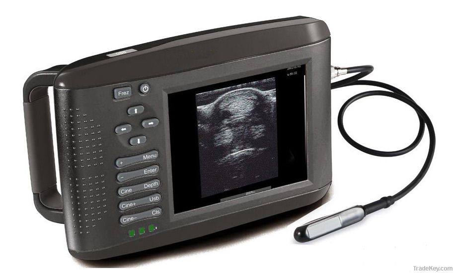 Portable Hand-held Veterinary Ultrasound Scanner