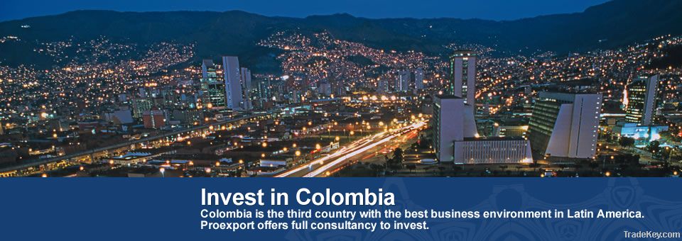 Re/Max Ejecutiva - Inversiones en Colombia