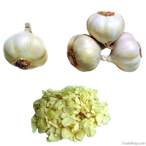 Dehydrated Garlic