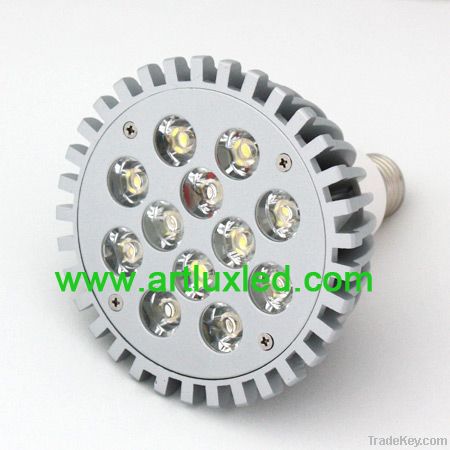 LED PAR Light