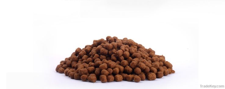 dog food / big-sized adult dogs food