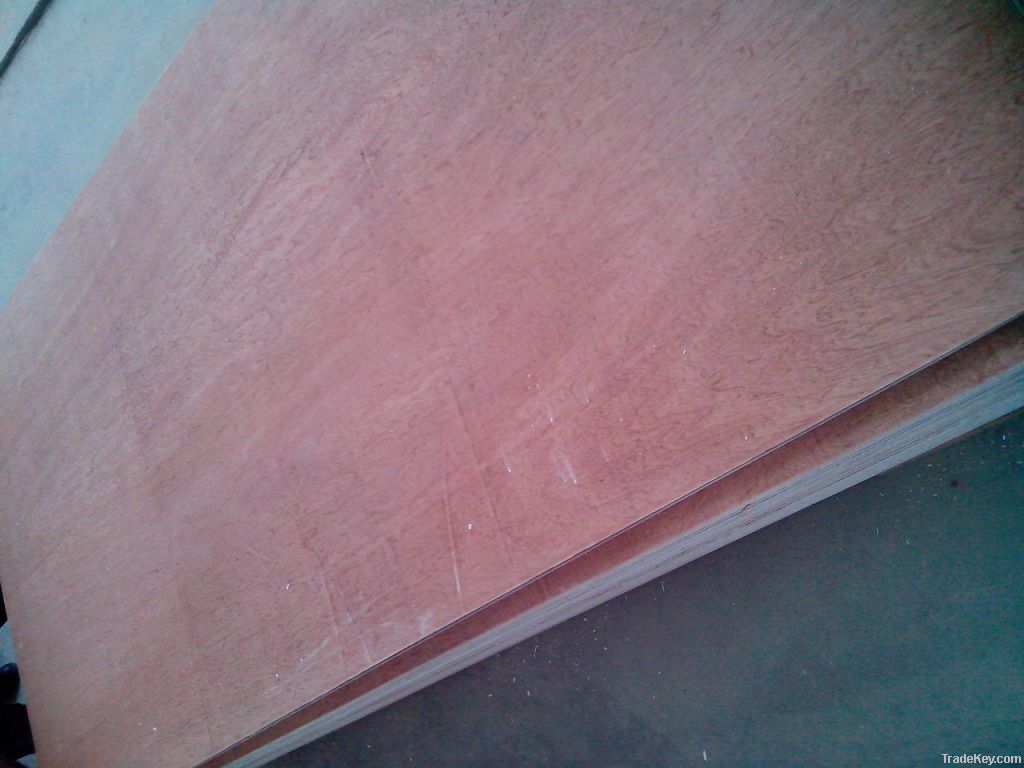 best price commercial plywood for package from China