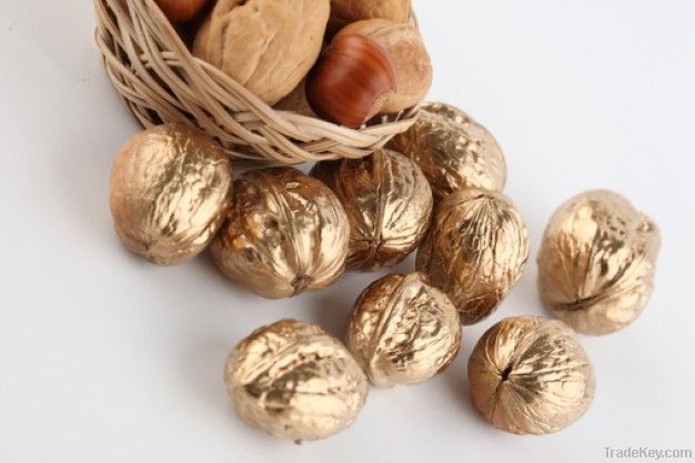 Walnut Kernels | Dried Fruits | Walnut Suppliers | Walnut Exporters | Walnut Manufacturers | Cheap Walnut | Wholesale Walnut | Discounted Walnut | Bulk Walnut | Walnut Buyer | Import Walnuts | Shelled Walnuts