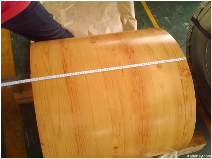 pre-painted galvanized steel sheet/coil of wood grain