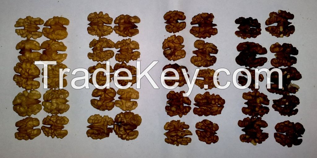 Buy Walnut kernel - Mix walnuts