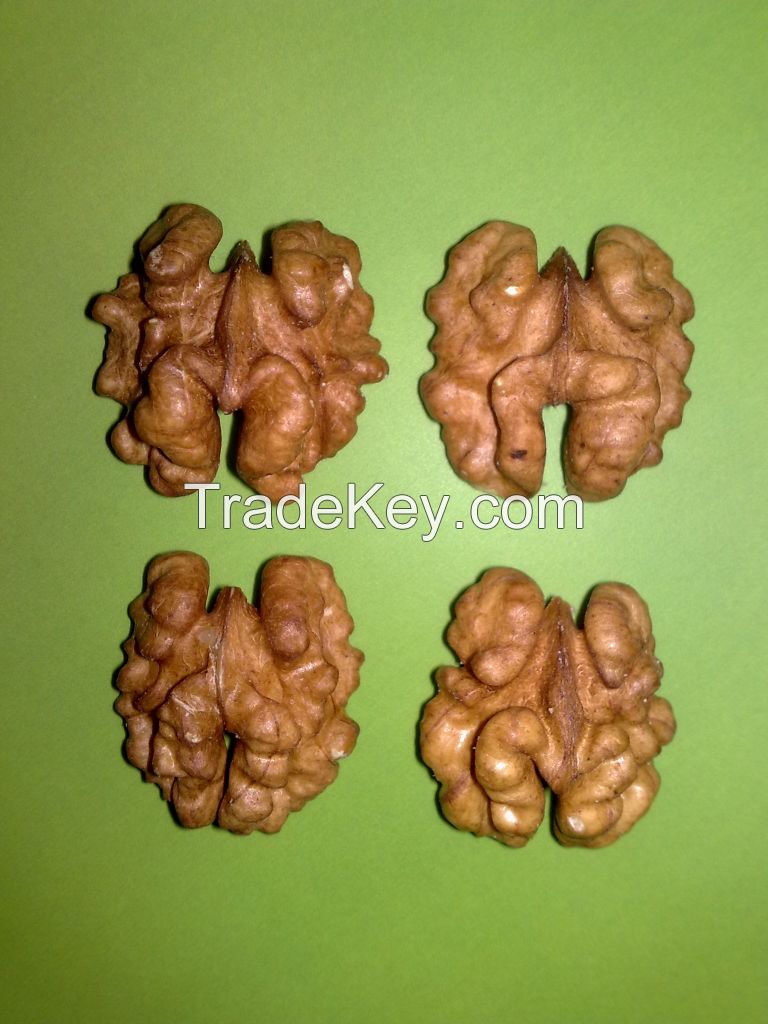 Buy Walnut kernel butterfly