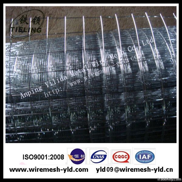 Galvanized welded wire mesh building materials