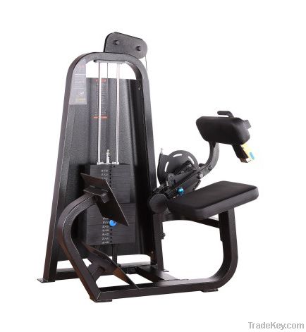 Precor Gym Fitness Machine / Back Extension