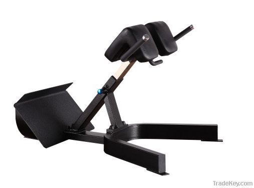 Precor Commercial Gymnastic Equipment / Back Extension