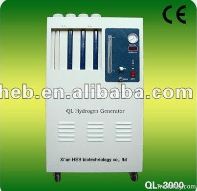 QL-3000 Hydrogen Generator