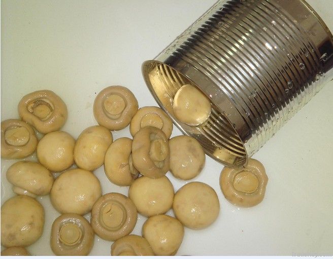 Canned food (Canned Mixed Mushroom)