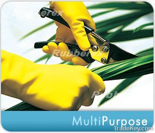 Multipurpose Household Glove