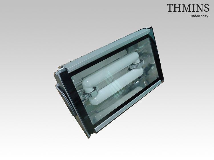 120W-400W Induction Lamp Tunnel Light/lamp manufacturer THMINS