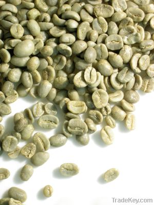 robusta coffee beans importers,robusta coffee beans buyers,robusta coffee beans importer,buy robusta coffee beans,robusta coffee beans buyer,import robusta coffee beans,robusta coffee beans suppliers,