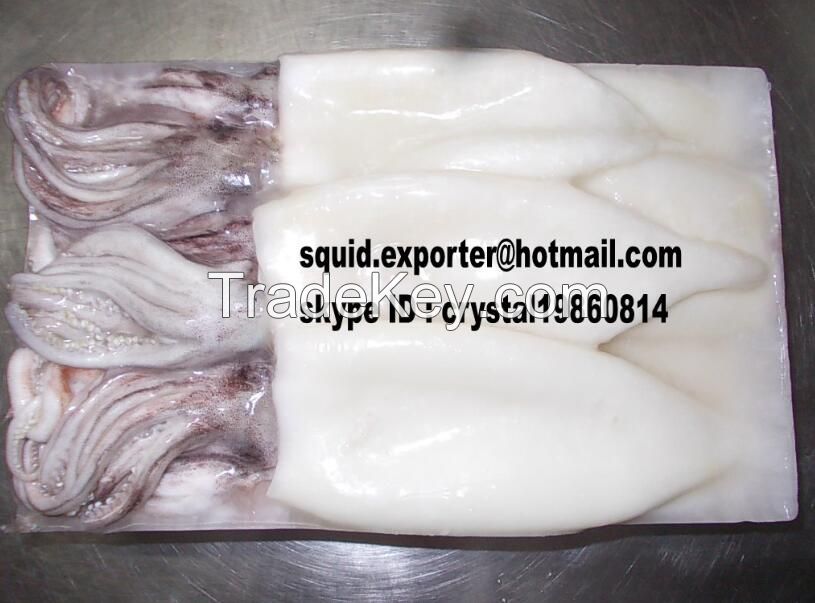 Seafood fish Frozen squid tubes Squid T+T (Squid Tube and squid tentacle)