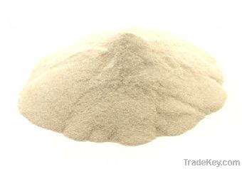 new crop dried garlic powder