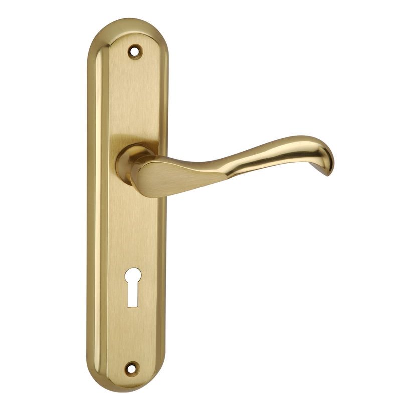 Daffodil-Brass-Mortice-Handle-175-mm-Brass