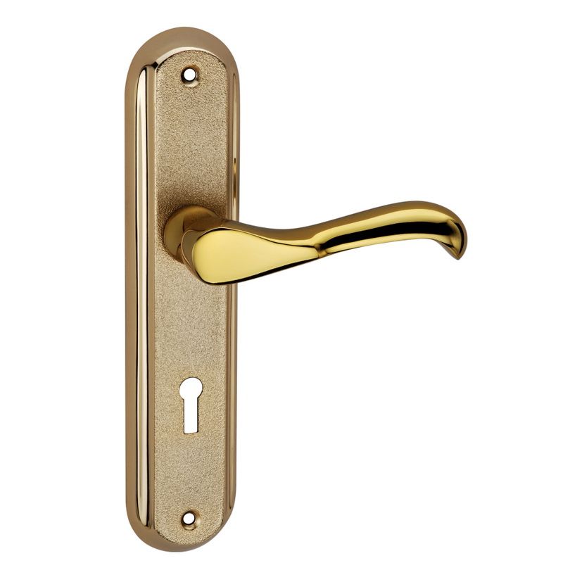 Daffodil-Brass-Mortice-Handle-175-mm-Brass