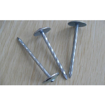 Galvanized roofing nails with Umbrella head/Iron Nails /Galvanized Steel Nails /Roofing Nails