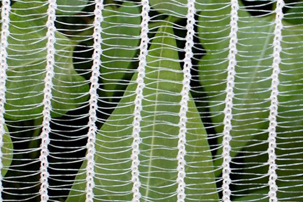 ANTI HAIL NETTING / NETTING FOR PLANT PROTECTION /PLANT PROTECTION NET FROM HAIL DAMAGE
