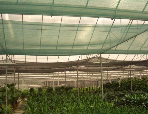 HARVESTING NET / OLIVE NET/ HARVESTING OF FRUIT NET / HDPE HARVESTING FRUITS NET