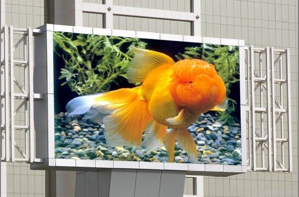 out door full color led display