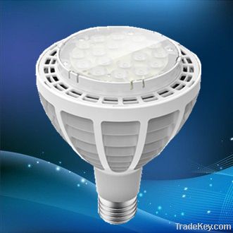 LED PAR38 Spotlight