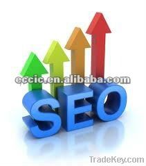 professional SEO service