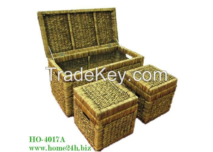 Water Hyacinth trunks set - 3pcs