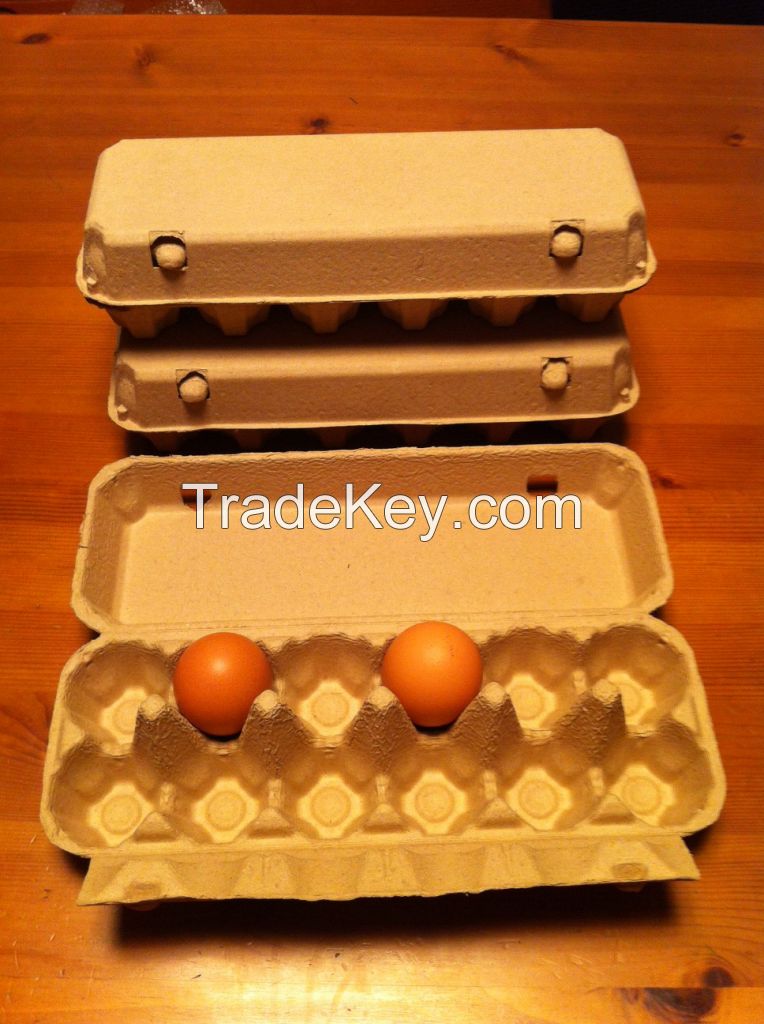 egg cartons