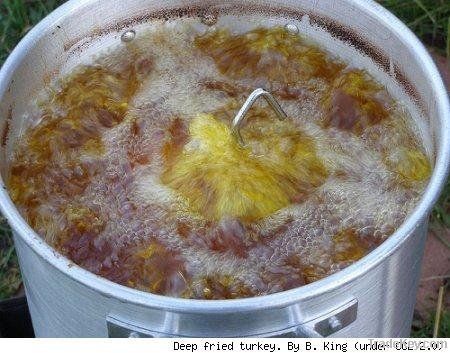 Used Cooking Oil For Biodiesel