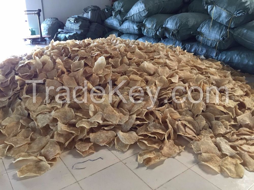 DRIED FISH MAW / SWIM BLADDER 