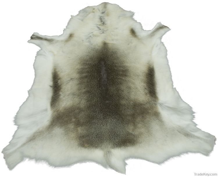 Reindeer Hide