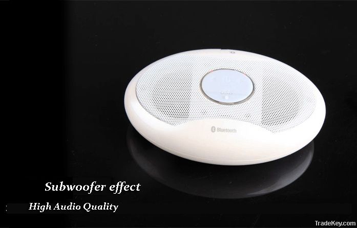 Bluetooth Mini Speaker