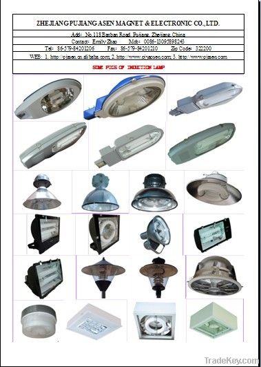 induction lamps / electrodeless lamps / road lighting