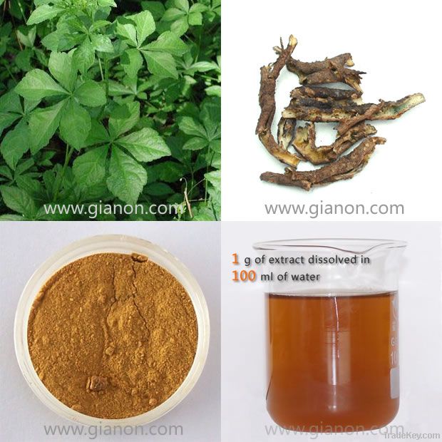 Siberian Ginseng Extract