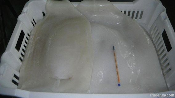 Frozen fillet Jumbo Squid tube