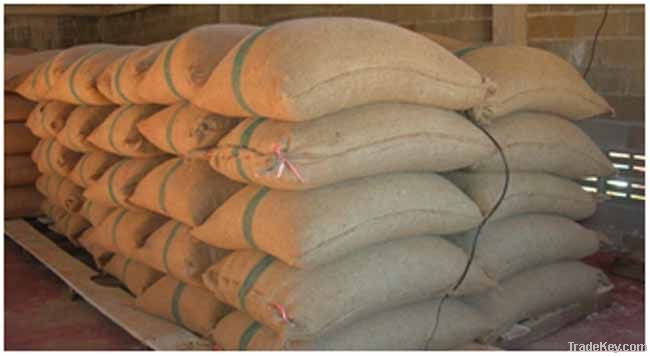 export coffee beans