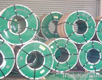 Hot rolled stainless steel coil