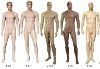 2012 fiberglass muscular male mannequins