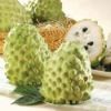 Fresh Atemoya (Custard Apple) from Taiwan