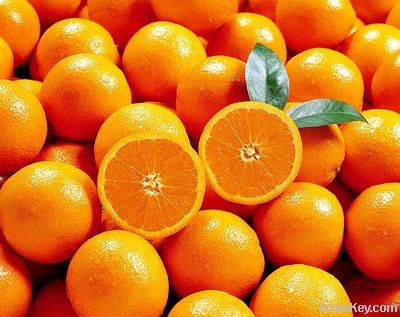 nanfeng honey madarin orange