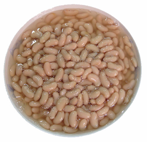 canned beans red/white