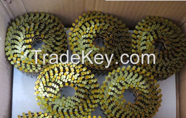 coil nail/painted coil nail on sale (factory)