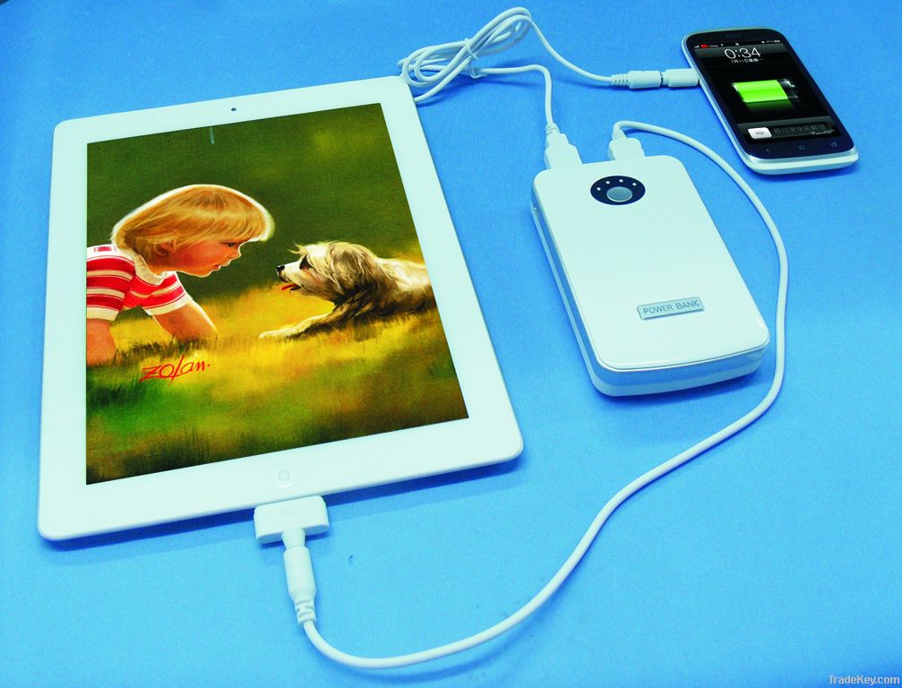 Dual USB Power Bank for iPad, iphone, MP3, MP4, iPod, GPS, PSP, PDA...