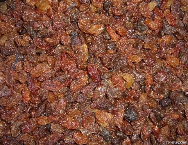 2012 new Xinjiang Sultana red raisins