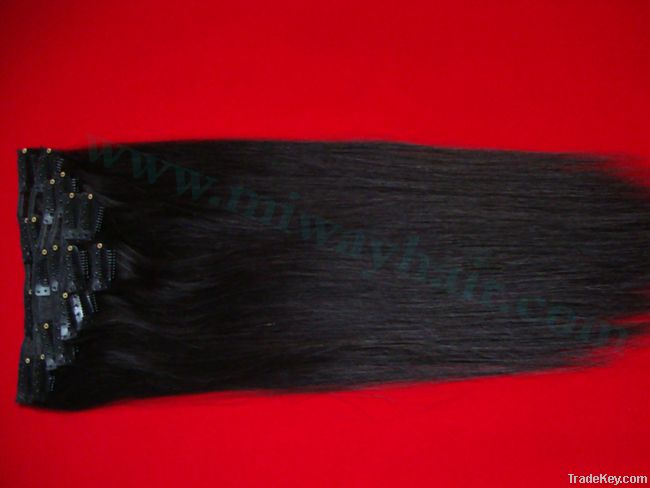 100g Clip in Hair Extension 20