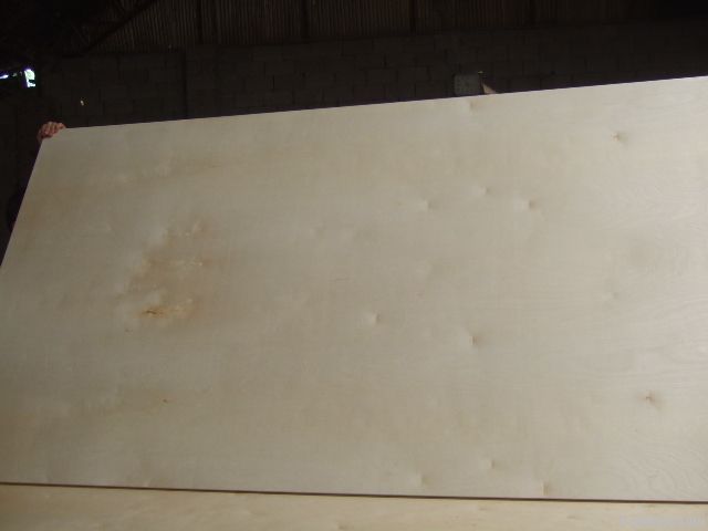 18mm white birch plywood