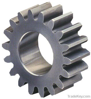 standard stainless spur gear